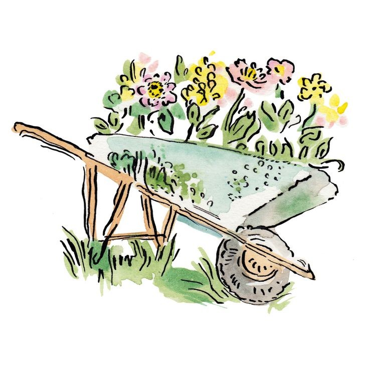 Easy-watercolor-flowers-to-paint-in-wheelborrow-garden-cart-gardening