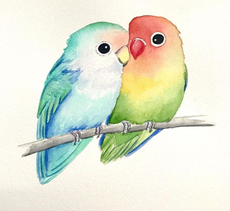 Love-Birds-watercolors-painting-ideas-easy-simple