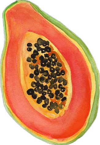 Papaya-fruit-watercolor-painting-ideas-for-beginners-easy-art