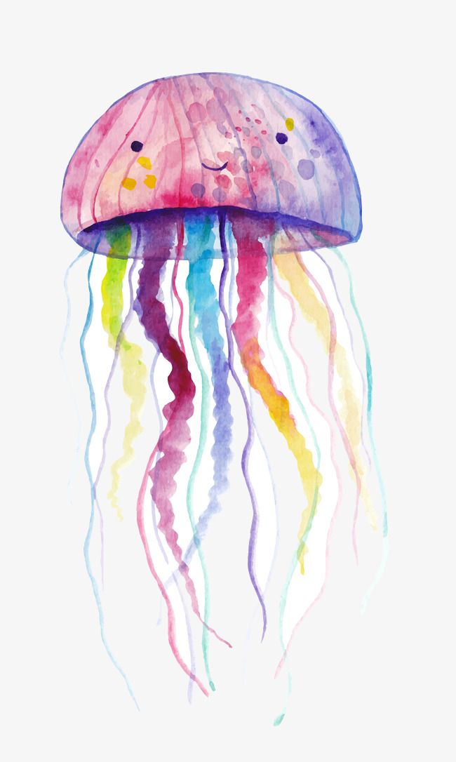 colorful-jellyfish-easy-watercolor-painting-ideas-for-beginners